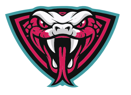 LAKE VIPERS FAN WEAR STORE – CFP Designs